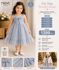 Next Girls Gingham Net Frock