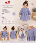 H&M Embroidered chickenkari frock